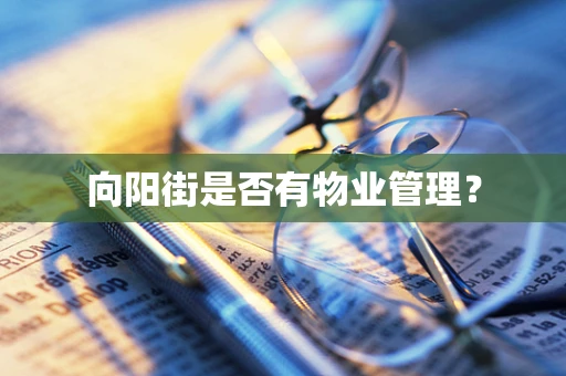 向阳街是否有物业管理？