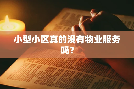 小型小区真的没有物业服务吗？