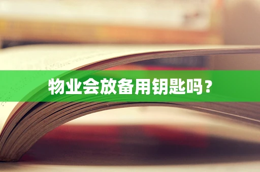 物业会放备用钥匙吗？