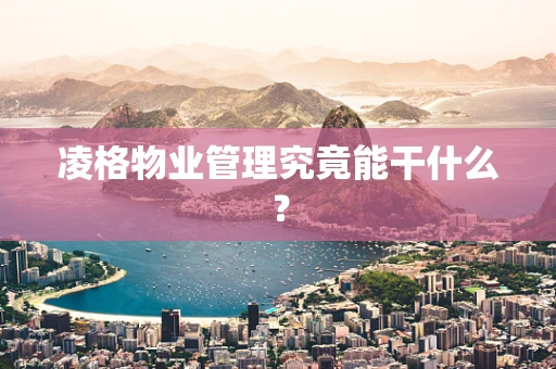 凌格物业管理究竟能干什么？
