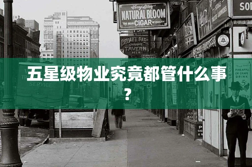 五星级物业究竟都管什么事？