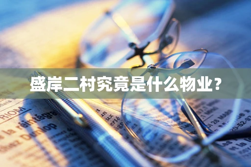 盛岸二村究竟是什么物业？