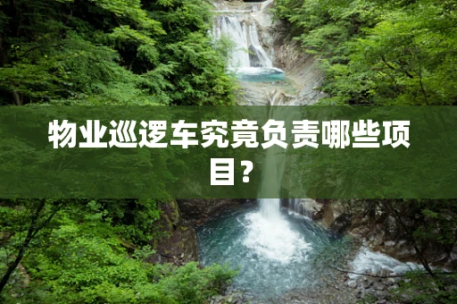 物业巡逻车究竟负责哪些项目？