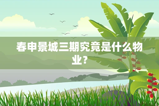 春申景城三期究竟是什么物业？
