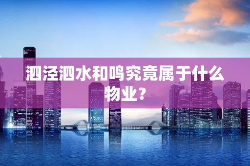 泗泾泗水和鸣究竟属于什么物业？