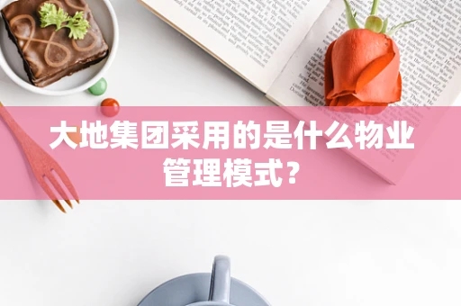 大地集团采用的是什么物业管理模式？