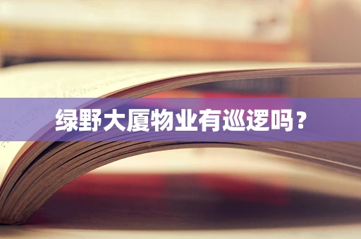 绿野大厦物业有巡逻吗？