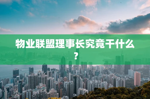物业联盟理事长究竟干什么？