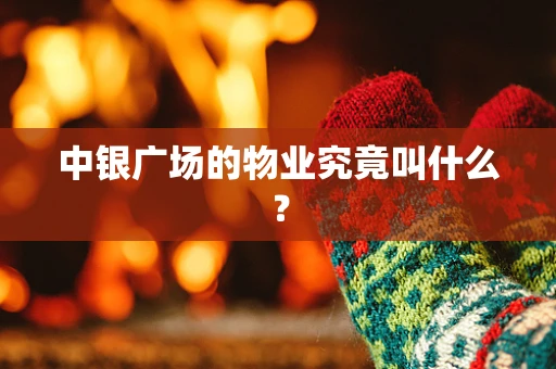 中银广场的物业究竟叫什么？