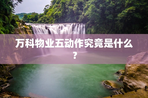 万科物业五动作究竟是什么？