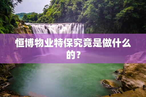 恒博物业特保究竟是做什么的？