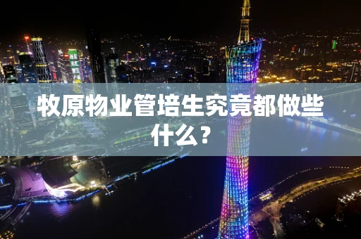 牧原物业管培生究竟都做些什么？