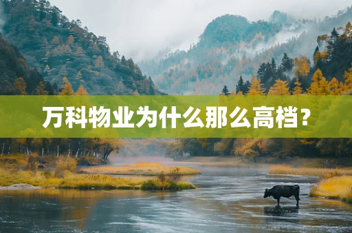 万科物业为什么那么高档？