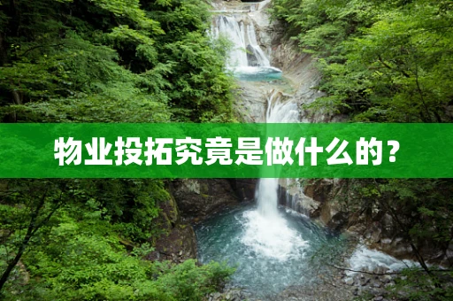 物业投拓究竟是做什么的？