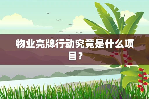 物业亮牌行动究竟是什么项目？