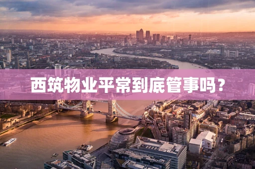 西筑物业平常到底管事吗？