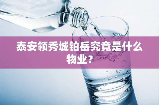 泰安领秀城铂岳究竟是什么物业？