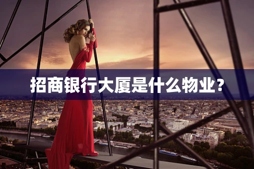 招商银行大厦是什么物业？