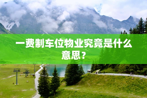 一费制车位物业究竟是什么意思？