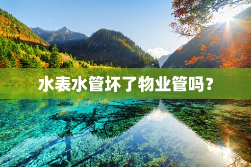 水表水管坏了物业管吗？