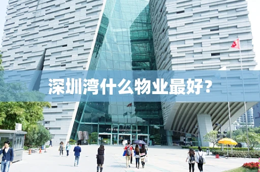深圳湾什么物业最好？