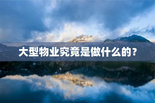 大型物业究竟是做什么的？
