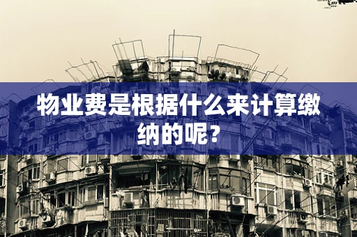 物业费是根据什么来计算缴纳的呢？