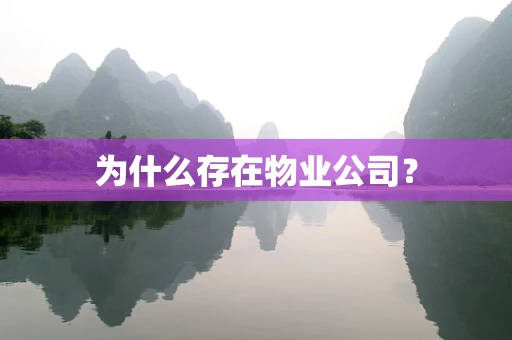 为什么存在物业公司？