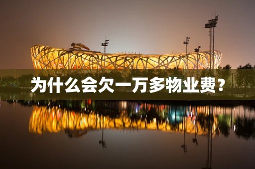为什么会欠一万多物业费？