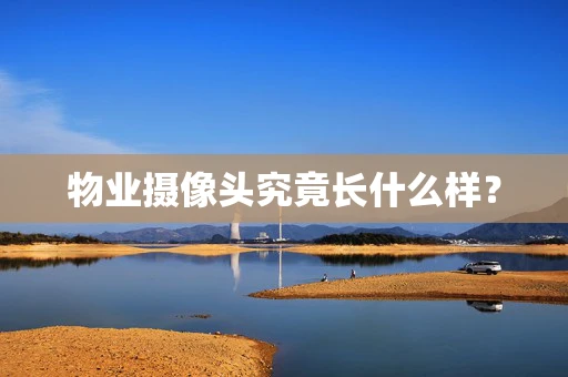 物业摄像头究竟长什么样？