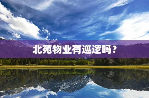 北苑物业有巡逻吗？