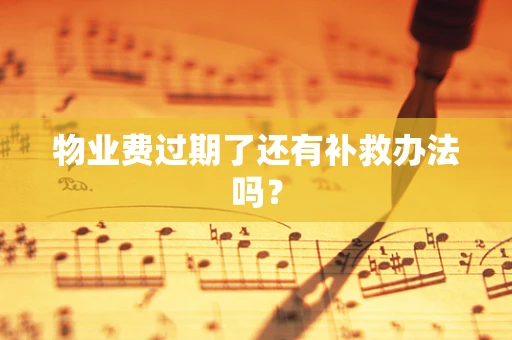 物业费过期了还有补救办法吗？