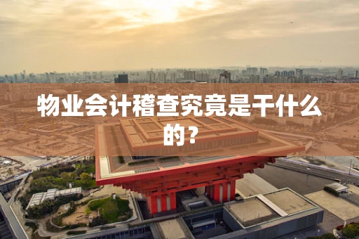 物业会计稽查究竟是干什么的？