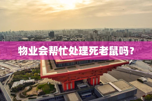 物业会帮忙处理死老鼠吗？