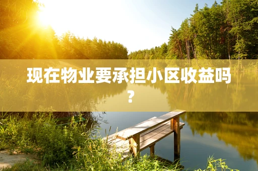 现在物业要承担小区收益吗？