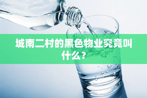 城南二村的黑色物业究竟叫什么？