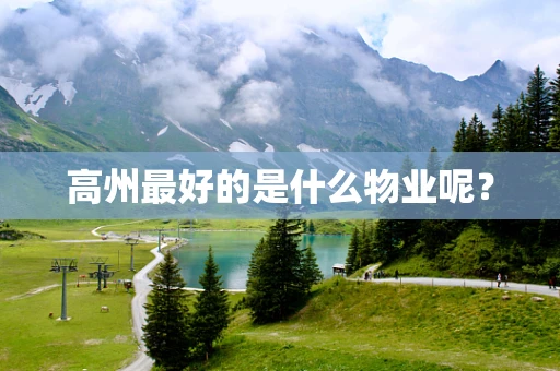 高州最好的是什么物业呢？