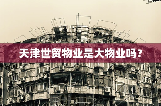 天津世贸物业是大物业吗？