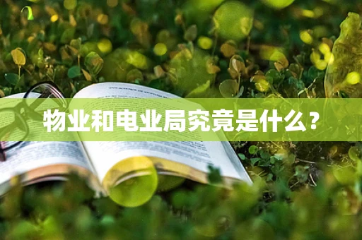 物业和电业局究竟是什么？