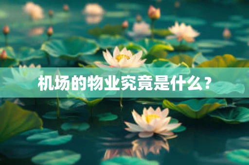 机场的物业究竟是什么？