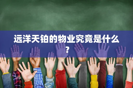远洋天铂的物业究竟是什么？