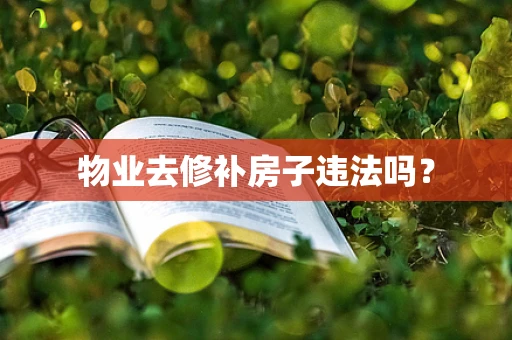 物业去修补房子违法吗？