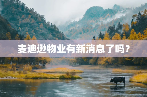 麦迪逊物业有新消息了吗？