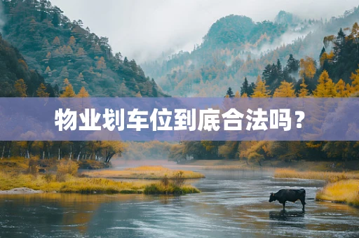物业划车位到底合法吗？