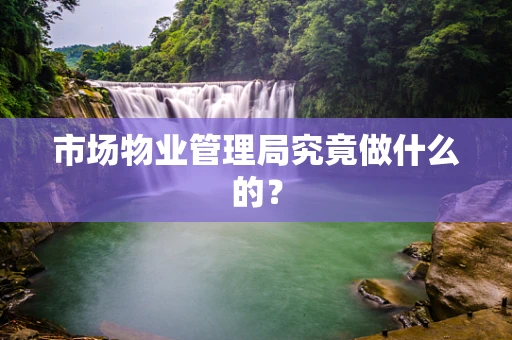 市场物业管理局究竟做什么的？