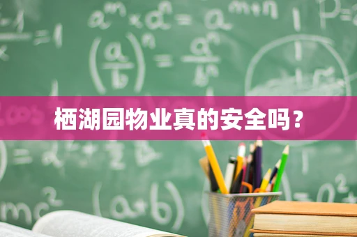 栖湖园物业真的安全吗？