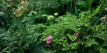 南航物业究竟叫什么名字？