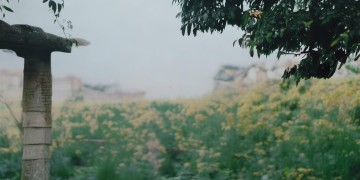 太原小区物业都要收取停车费吗？