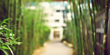 竹山路小区物业到底安全吗？