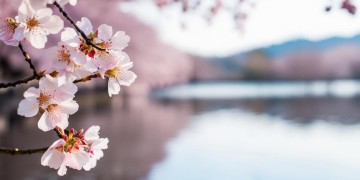 西湖春天物业真的安全吗？